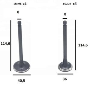 SUPAP EMME EGSOZ CERES TK.