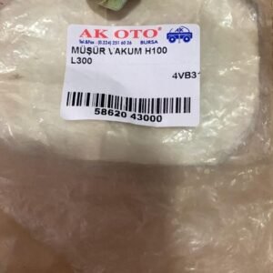 MÜŞÜR VAKUM H100 L300