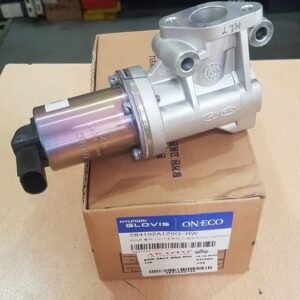 EGR VALF ERA RIO I30